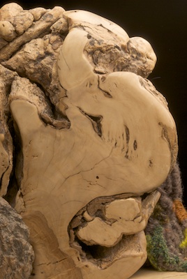 Laughing old, long-nosed hag figure in grain of wood, with small messengerfigure nestled behind her head